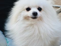 -佛山京华广场MALL