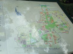 -中山大学学者灵芝(园南路店)