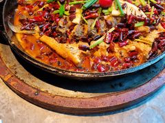 -老板恋上鱼(恒隆广场店)