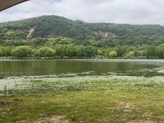 -长广溪湿地公园