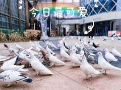 -中粮·祥云小镇