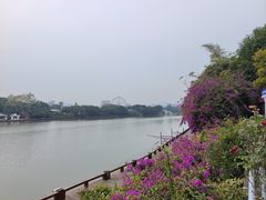 -福州西湖大酒店·怡湖咖啡厅