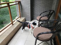 -成都安仁福朋喜来登酒店