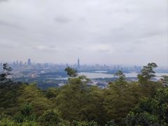 -紫金山天文台