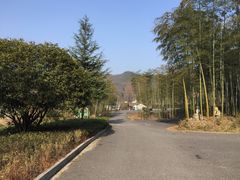 -天下银坑