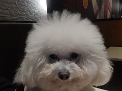 -星巴克(杭州桐庐利时广场店)