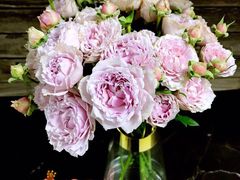 -Flower in(密渡桥店)