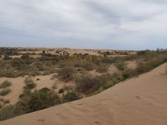 -亿利库布其七星湖沙漠生态旅游区