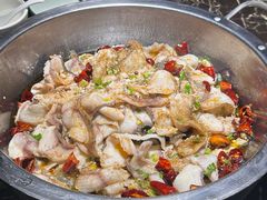 -百岁鱼(望月路店)