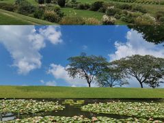 -上海辰山植物园