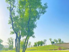 -盘龙城国家考古遗址公园