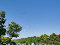-羊山湖公园