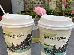 -茶颜悦色(花园道店)