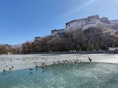 -宗角禄康公园