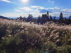 -重庆云阳龙缸景区