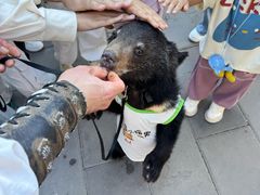 -波塞冬旅游度假区