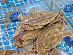 -木木鲜海鲜面(天一店)
