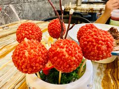 -椿记烧鹅(叠彩店)