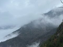 -朱雀国家森林公园