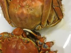 -王宝和酒家(黄浦店)