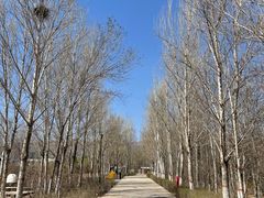 -大青山野生动物园