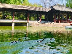 -团结湖公园