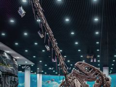 -吉林省自然博物馆
