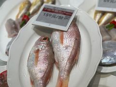 -高佳庄·舟山海鲜(海景旗舰店)