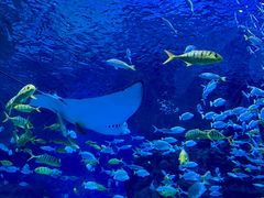 -海合安成都极地海洋公园
