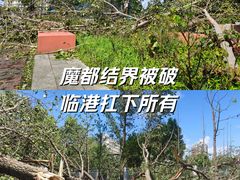 -春花秋色城市公园