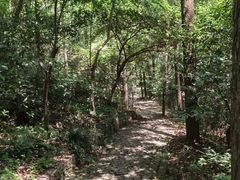 -西湖风景区-江洋畈生态公园