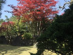 -料亭菊水楼