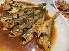 小黄鱼-温岭人家(红花北路店)