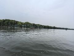 -西湖游船