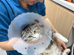 -全心全意连锁动物医院·特色中医诊疗(会城门分院)