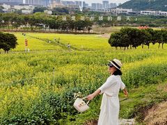 -光明小镇欢乐田园