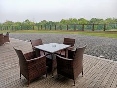 -徐州绿地皇冠假日酒店-汉宫中餐厅
