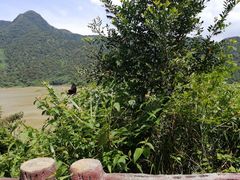 -羚羊峡古栈道森林公园