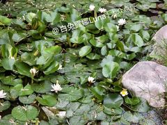 -翰园碑林