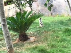-灵玲国际马戏城