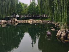 -唐城墙遗址公园