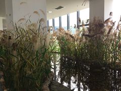 -泗洪县文化艺术中心