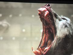 -金逸影城(中关村店)