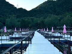 -富春桃源风景区