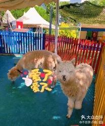 点击看大图 -萌宠亲子动物乐园(槐房万达店)
