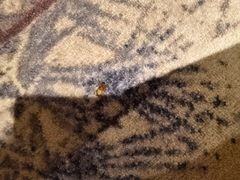 -秦皇岛阿尔卡迪亚滨海度假酒店