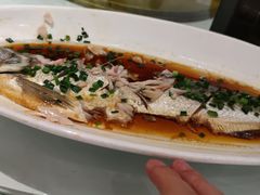 -乾隆美食·本帮菜(黄河路店)