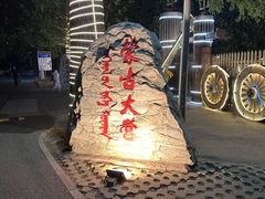 -蒙古大营(朝阳公园店)