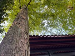 -白鹿洞书院