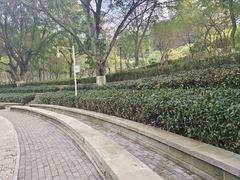 -龙头寺公园